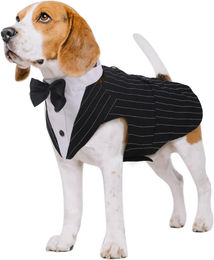 Kuoser Hund Smoking Anzug mit Halstuch Bandana Set Schwarz S-XXL – Bild 1 von 6