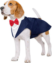 Kuoser Hund Smoking Anzug und Bandana Set Party Kostüm Blau S-XXL – Bild 1 von 5