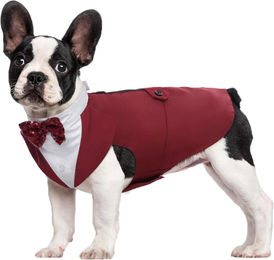 Kuoser Hunde Smoking Anzug mit Halstuch Set Rot S-XXL – Bild 1 von 6