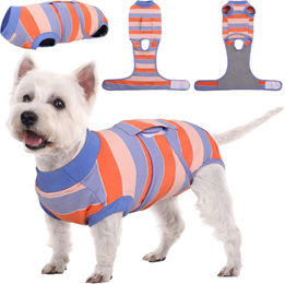 Kuoser Hundebody aus Baumwolle für Rüden und Hündinnen in Orange und Blau – Bild 1 von 6