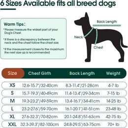 Kuoser Hundebody Overall atmungsaktiv mit Leckschutz Blau L-XL – Bild 1 von 5