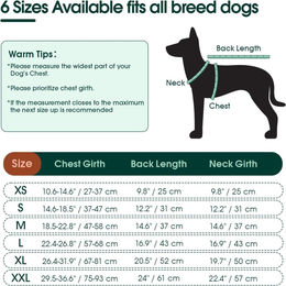 Kuoser Hundeschenkel Schutz Bodysuit Grün Größe M für Hunde nach Operationen – Bild 1 von 5