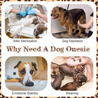 Produktbild von Kuoser Hundewindel Overall für Rüden und Katzen Braun XS