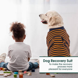 Kuoser Hundewindel Overall Leckschutz Braun XXL – Bild 1 von 3