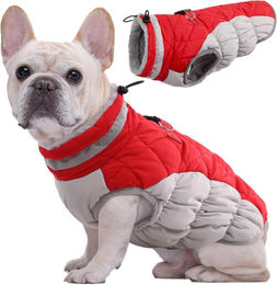 Kuoser Wasserdichter Hundemantel Winterjacke mit Fleece für kleine Hunde in Rot XS – Bild 1 von 6