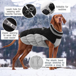 Kuoser Wasserdichter Hundemantel Winterjacke mit Fleece in Schwarz XS – Bild 1 von 5