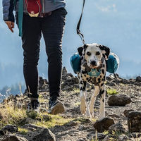 Produktbild von Kurgo Baxter Hunderucksack mit Geschirr für große Hunde Blau