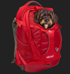 Kurgo G-Train K9 Hundetransportrucksack für kleine Rassen, wasserabweisend, Rot – Bild 1 von 10