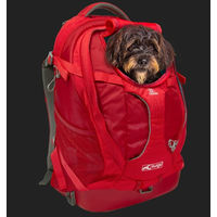 Produktbild von Kurgo G-Train K9 Hundetransportrucksack für kleine Rassen, wasserabweisend, Rot