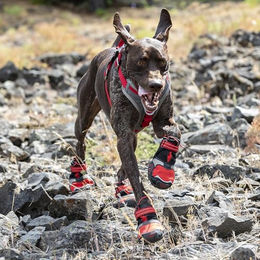 Kurgo Hundeschuhe Blaze Cross Pfotenschuhe wasserabweisend Grau S – Bild 1 von 4