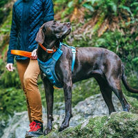 Produktbild von Kurgo Journey Air Hundegeschirr Blau Grau Größe M