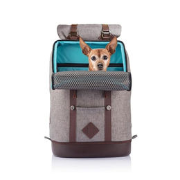Kurgo K9 Rucksack für kleine Hunde und Haustiere Grau mit wasserabweisendem Kunstleder – Bild 1 von 13