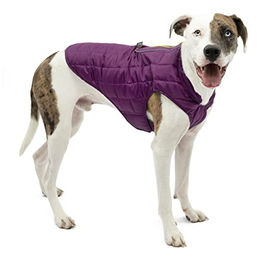 Kurgo Loft Hundejacke für den Winter aus Ripstop-Material wasserdicht Grau Lila Größe M - 1 Stk. – Bild 1 von 5