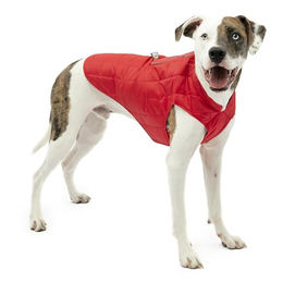 Kurgo Loft Hundejacke wasserdicht und reflektierend Winterjacke für Hunde Größe M Grau Rot - 1 Stk. – Bild 1 von 5