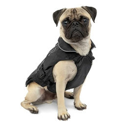 Kurgo North Country Hundemantel mit Fleece-Futter wasserabweisend Schwarz Größe S - 1 Stk. – Bild 1 von 6