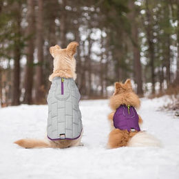 Kurgo North Country wasserdichte Hundejacke mit Fleece-Futter und LED-Licht Grau/Lila Größe L - 1 Stk. – Bild 1 von 5