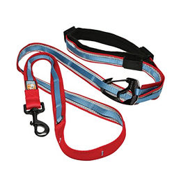 Kurgo Quantum 6-in-1 Handsfree Joggingleine für Hunde mit verstellbarem Taillengürtel und Reflektoren in Rot/Blau – Bild 1 von 7