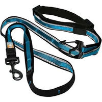 Produktbild von Kurgo Quantum Doppelleine für Hunde in Blau - 1 Stk.