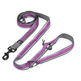 Kurgo Quantum Leash 2.0 Hundeleine 6-in-1 Joggingleine verstellbar violett lila grau - 1 Stk. – Bild 1 von 3