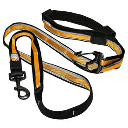 Produktbild von Kurgo Reflect & Protect Quantum Doppelleine Schwarz/Orange