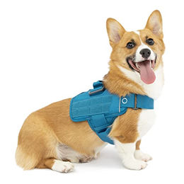 Kurgo RSG Townie Hundegeschirr blau XL – Bild 1 von 12