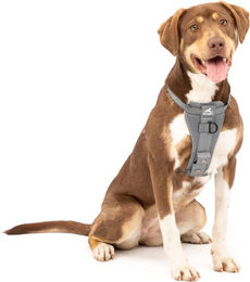 Kurgo Tru-Fit Autosicherheitsgeschirr für Hunde Grau Größe M – Bild 1 von 9
