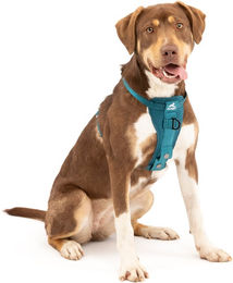 Kurgo Tru-Fit Autosicherheitsgeschirr für Hunde in Blau Größe M - 1 Stk. – Bild 1 von 5
