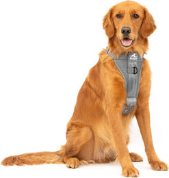 Kurgo Tru-Fit Sicherheitsgeschirr für Hunde Grau Größe L – Bild 1 von 9