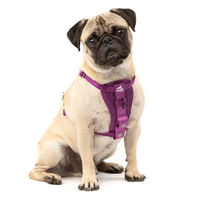 Produktbild von Kurgo TRU-Fit Sicherheitsgeschirr für Hunde, Lila, Größe S