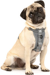 Kurgo Tru-Fit Sicherheitsgeschirr für Hunde XS Grau – Bild 1 von 7