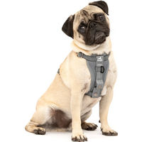 Produktbild von Kurgo Tru-Fit Sicherheitsgeschirr für Hunde XS Grau