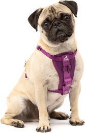 Kurgo Tru-Fit Sicherheitsgeschirr für Hunde XS Lila aus Polyester – Bild 1 von 4