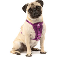 Produktbild von Kurgo Tru-Fit Sicherheitsgeschirr für Hunde XS Lila aus Polyester