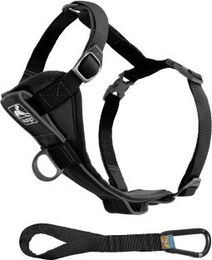 Kurgo Tru-Fit Smart Hundegeschirr mit gepolstertem Brustteil und D-Ring inklusive Autosicherheitsgurt Schwarz Größe M - 1 Stk. – Bild 1 von 5