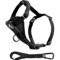 Produktbild von Kurgo Tru-Fit Smart Hundegeschirr Schwarz Größe S aus Polyester mit Reflektoren - 1 Stk.