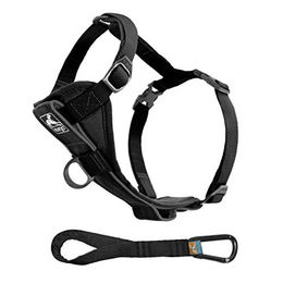 Kurgo Tru-Fit Smart Sicherheitsgeschirr für Hunde mit Gurtanschluss Schwarz XL - 1 Stk. – Bild 1 von 6