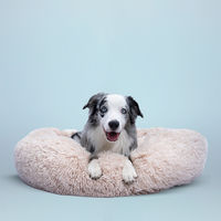 Produktbild von Kuschelbett Creme 50cm von tierliebhaber-animagus - 50 cm