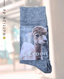Produktbild von L'Evoine Alpaka Socken Pierre aus Wolle Grau ganzjährig