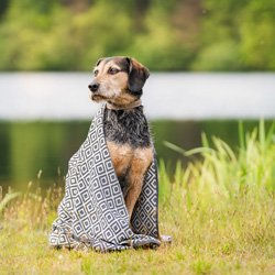 Produktbild von Labbvenn Hundehandtuch Linaa grey