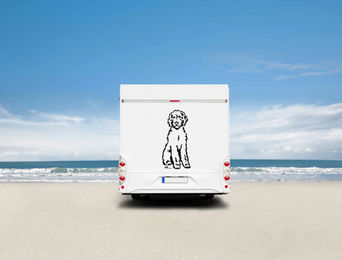 Produktbild von Labradoodle Auto Wohnmobil Aufkleber