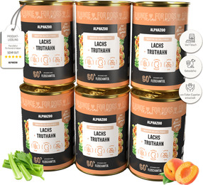 Produktbild von Lachs + Truthahn Nassfutter für Adult Hunde 6 x 400g