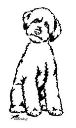 Produktbild von Lagotto Romagnolo Grafiklizenz