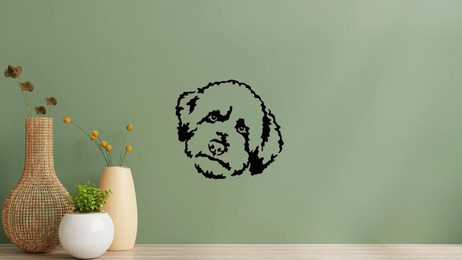 Produktbild von Lagotto Romagnolo Kopf Wandtattoo Wandbild Wandsticker Wandaufkleber Wanddekoration