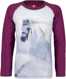Produktbild von Langarmshirt Red Horse Pixel FW23