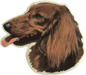 Langhaar Aufkleber Difac Teckel – Bild 1 von 2