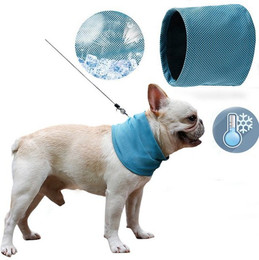 Produktbild von LAPA HOME Hunde-Kühlhalsband - 1 Stk.