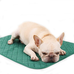 Produktbild von LAPA HOME Hundematte Waschbar Wiederverwendbar