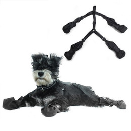 Produktbild von LAPA HOME Pfotenschutz Wasserdichte Hundestiefel mit verstellbaren Riemen