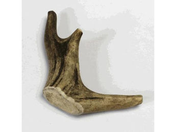 Produktbild von Larsson Geweihstück Full-Chew XS Kauartikel - 30 g