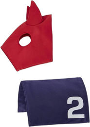 Laufmatte und Kapuze für Plüschtiere LeMieux Toy Pony – Bild 1 von 3